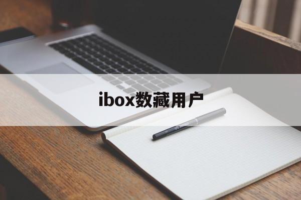 ibox数藏用户【ibox数藏用户持仓图片】